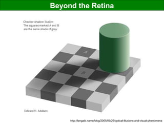 Beyond the Retina
http://langabi.name/blog/2005/09/26/optical-illusions-and-visual-phenomena
 