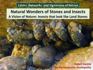 Nature Society
Dr. Parthasarathy Seethapathy
Natural Wonders of Stones and Insects
A Vision of Nature: Insects that look like Land Stones
Colors, Networks, and Signatures of Nature
 