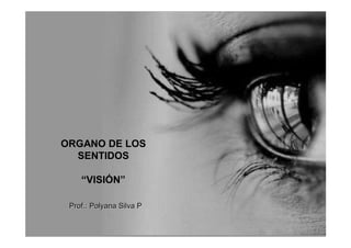ORGANO DE LOS
  SENTIDOS

    “VISIÓN”

 Prof.: Polyana Silva P
 
