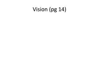 Vision (pg 14)
 