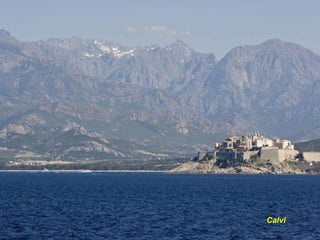Calvi  