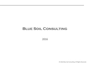 ©	
  2016	
  Blue	
  Soil	
  Consul1ng	
  	
  All	
  Rights	
  Reserved.	
  	
Blue Soil Consulting  
2016	
 