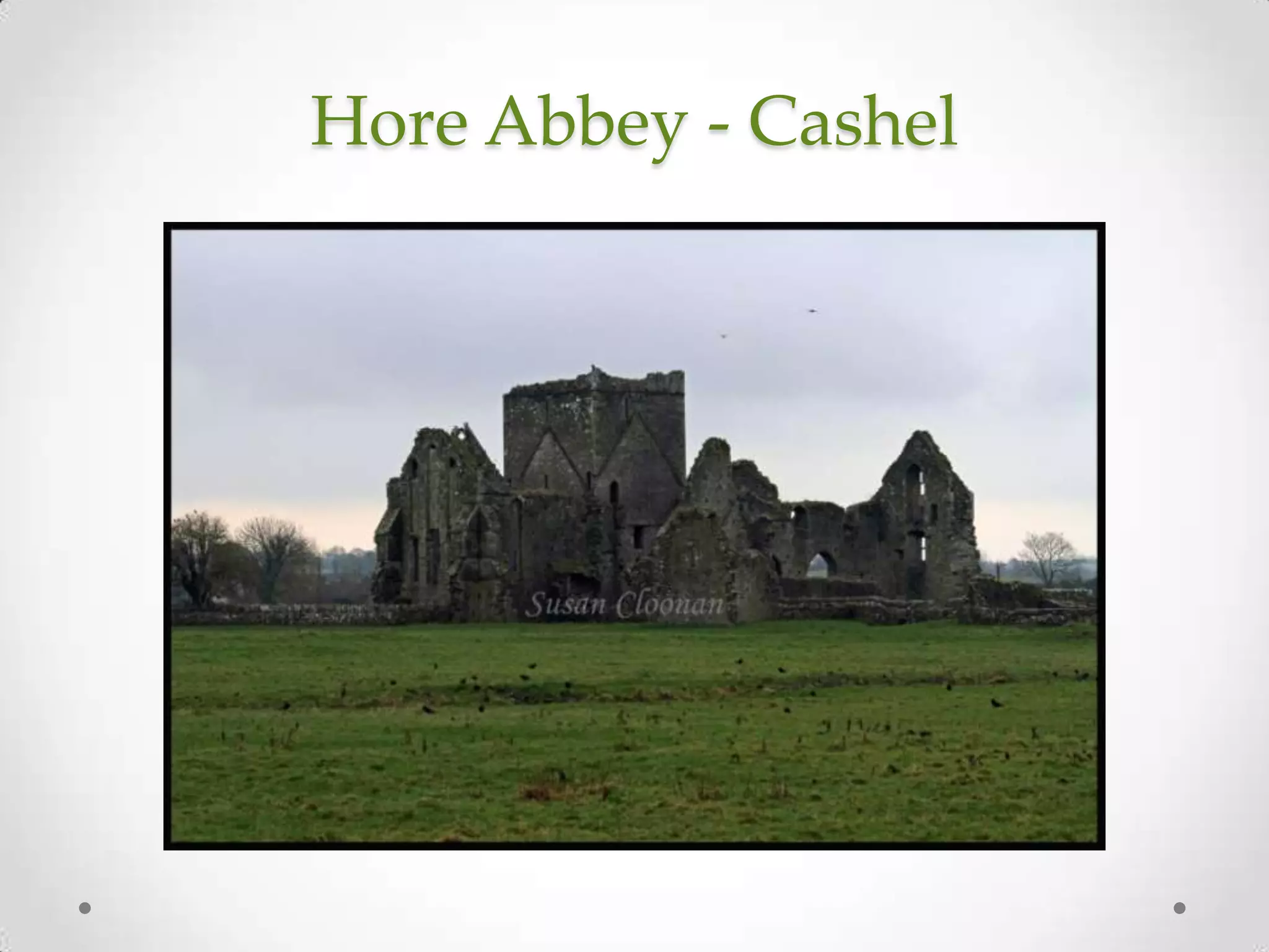 Hore Abbey - Cashel