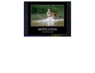 Motivation
Vision needs to be reinforced!
Every planning meeting
 Start with big picture -> current
 sprint
Other reminders - ﬂags, posters, talks
 