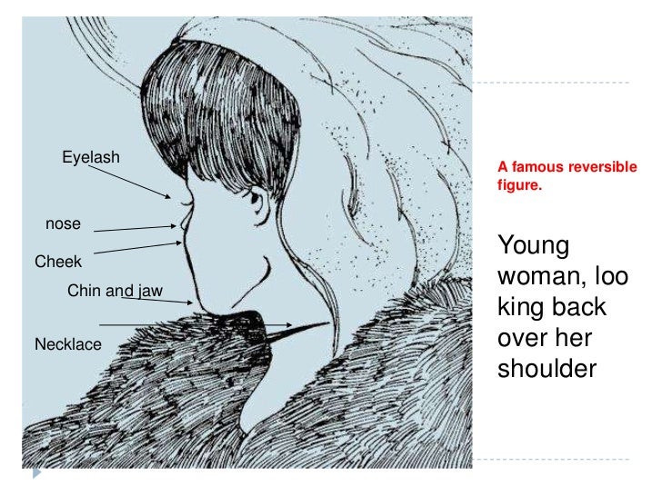 Vision topics examples