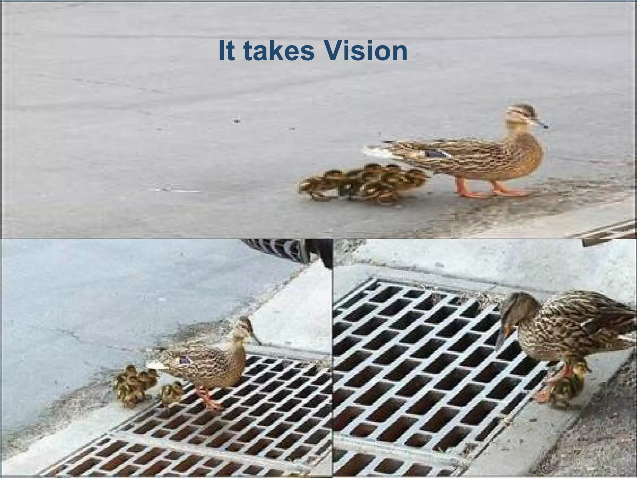 It takes Vision
 