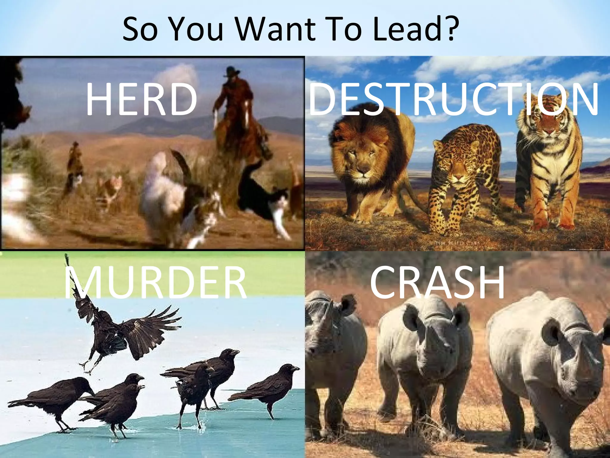 So You Want To Lead?

HERD       DESTRUCTION


MURDER         CRASH
 