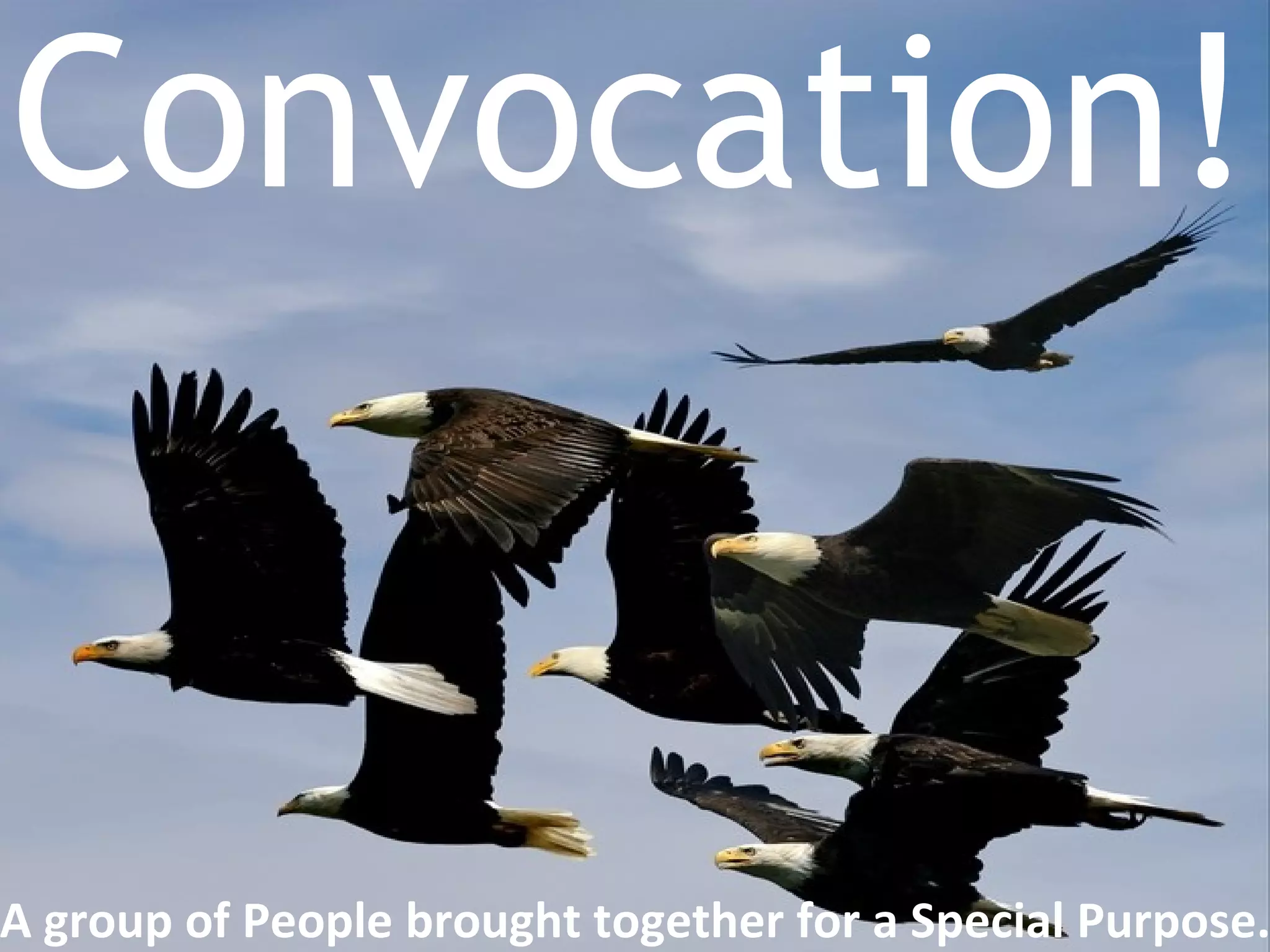 Convocation!


A group of People brought together for a Special Purpose.
 