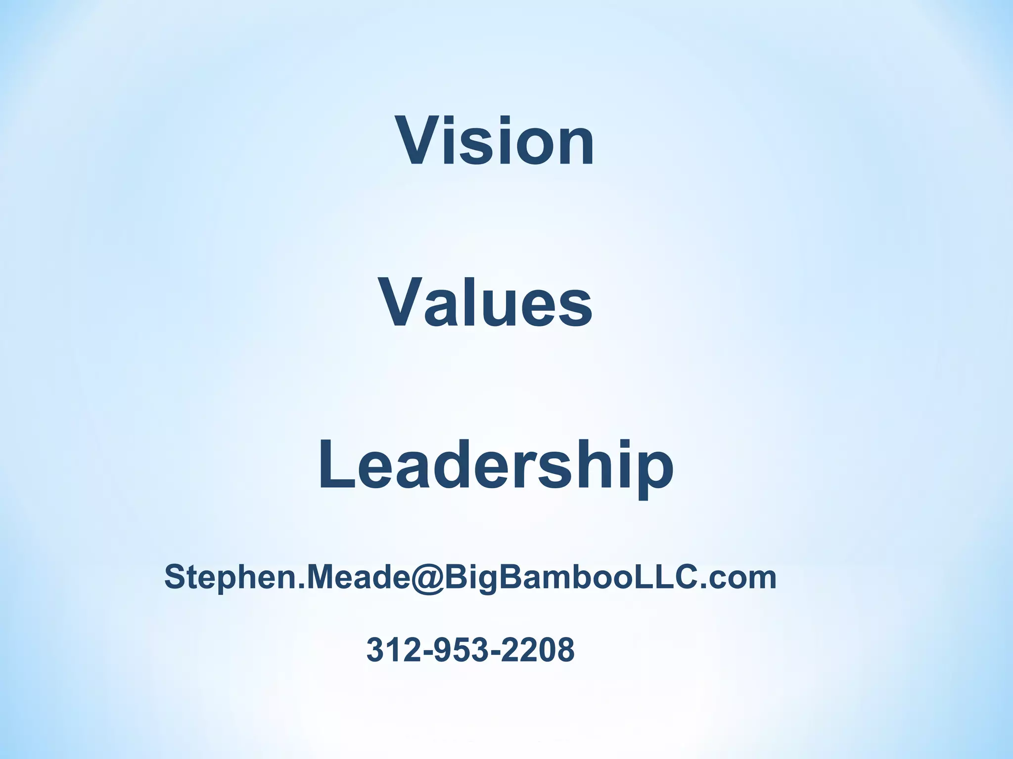 Vision

          Values

       Leadership
Stephen.Meade@BigBambooLLC.com

         312-953-2208
 