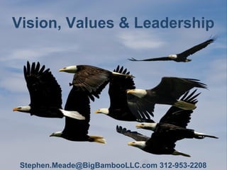 Vision, Values & Leadership




 Stephen.Meade@BigBambooLLC.com 312-953-2208
 