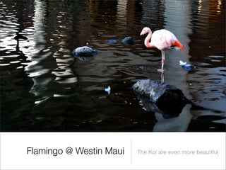 Hawaii, The Beautiful