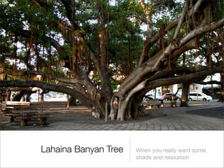 Hawaii, The Beautiful