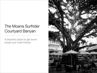 Hawaii, The Beautiful