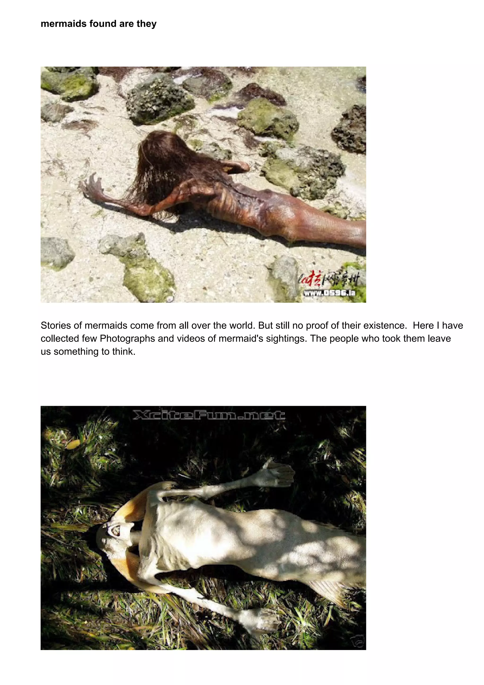 mermaids found are they
Stories of mermaids come from all over the world. But still no proof of their existence. Here I have
collected few Photographs and videos of mermaid's sightings. The people who took them leave
us something to think.