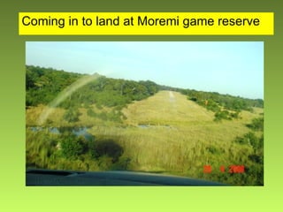 Coming in to land at Moremi game reserve 