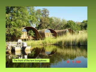 The front of the tent bungalows 
