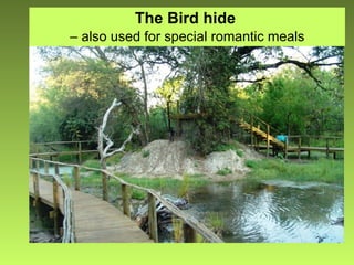 The Bird hide   –  also used for special romantic meals 