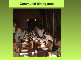 Communal dining area 
