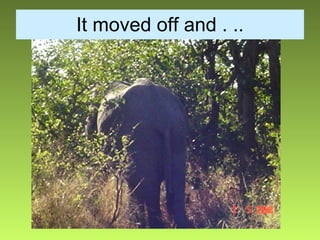 It moved off and . .. 