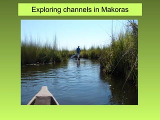 Exploring channels in Makoras 