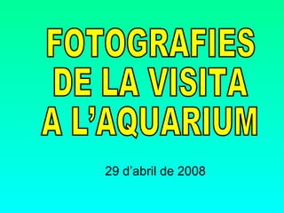 29 d’abril de 2008 FOTOGRAFIES  DE LA VISITA A L’AQUARIUM 