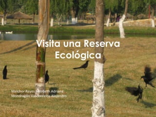 Visita una Reserva Ecológica Melchor Reyes Elizabeth Adriana Mondragón Vasconcelos Alejandro 