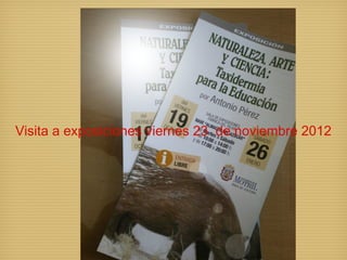 V 23 de noviembre 2012
Visita a exposiciones viernes
 