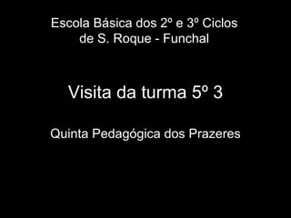 Visita da turma 5º 3 Quinta Pedagógica dos Prazeres Escola Básica dos 2º e 3º Ciclos de S. Roque - Funchal 