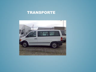 TRANSPORTE
 