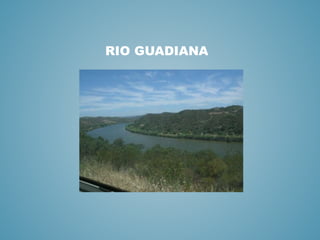 RIO GUADIANA
 