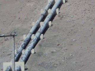 Visita a desalari 6° a