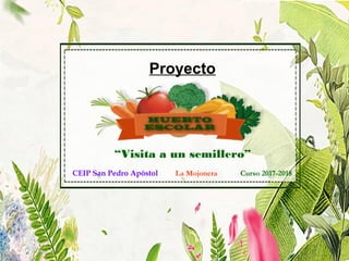 Proyecto
CEIP San Pedro Apóstol La Mojonera Curso 2017-2018
“Visita a un semillero”
 