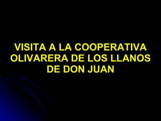 VISITA A LA COOPERATIVA OLIVARERA DE LOS LLANOS DE DON JUAN 