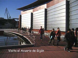Visita al Acuario de Gijón 