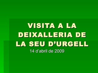 VISITA A LA DEIXALLERIA DE LA SEU D’URGELL 14 d’abril de 2009 