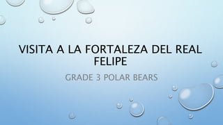 VISITA A LA FORTALEZA DEL REAL
FELIPE
GRADE 3 POLAR BEARS
 