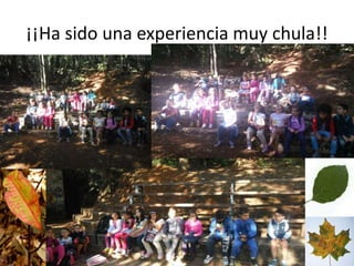 ¡¡Ha sido una experiencia muy chula!!
 