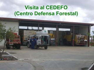 Visita al CEDEFO (Centro Defensa Forestal) 