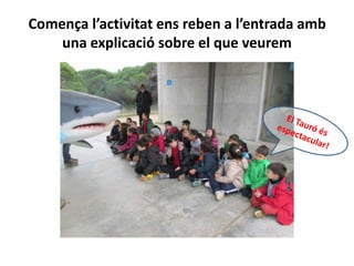 Comença l’activitat ens reben a l’entrada amb
una explicació sobre el que veurem
 