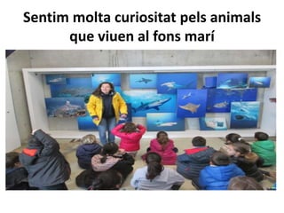 Sentim molta curiositat pels animals
que viuen al fons marí
 
