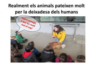 Realment els animals pateixen molt
per la deixadesa dels humans
 