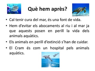 Què hem après?
• Cal tenir cura del mar, és una font de vida.
• Hem d’evitar els abocaments al riu i al mar ja
que aquests posen en perill la vida dels
animals aquàtics.
• Els animals en perill d’extinció s’han de cuidar.
• El Cram és com un hospital pels animals
aquàtics.
 