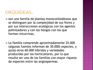  son una familia de plantas monocotiledóneas que
se distinguen por la complejidad de sus flores y
por sus interacciones ecológicas con los agentes
polinizadores y con los hongos con los que
forman micorrizas.
 La familia comprende aproximadamente 25.000
(algunas fuentes informan de 30.000) especies, y
quizá otros 60.000 híbridos y variedades
producidas por los horticultores, por lo que
resulta ser una de las familias con mayor riqueza
de especies entre las angiospermas.
 