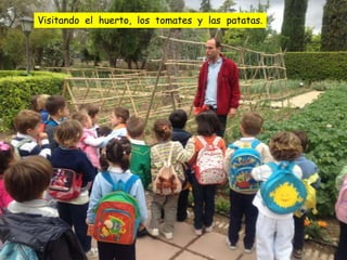 Visitando el huerto, los tomates y las patatas.
 