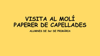VISITA AL MOLÍ 
PAPERER DE CAPELLADES 
ALUMNES DE 3er DE PRIMÀRIA 
 