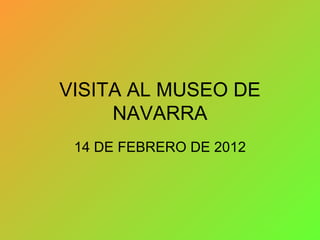 Visita al museo de navarra
