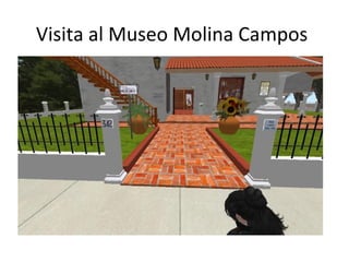 Visita al Museo Molina Campos
 