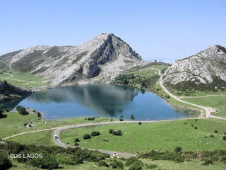 LOS LAGOS

 