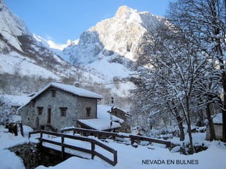 NEVADA EN BULNES

 