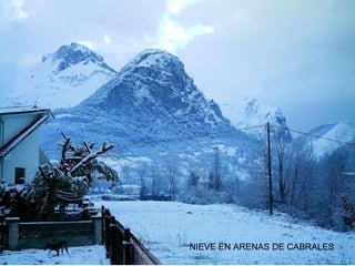NIEVE EN ARENAS DE CABRALES

 